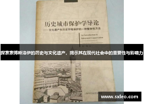 探索索博斯洛伊的历史与文化遗产，揭示其在现代社会中的重要性与影响力